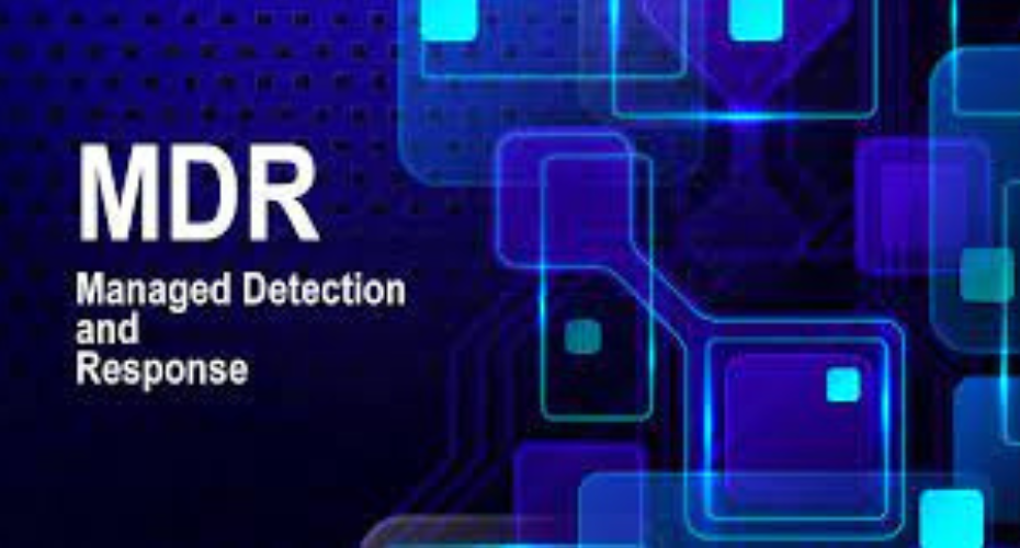  MDR Services: A Must in Today’s Cyber Landscape 